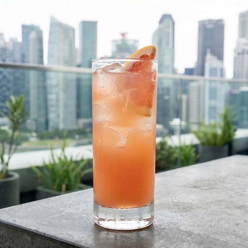 Greyhound cocktail in a glass with ice and grapefruit garnish